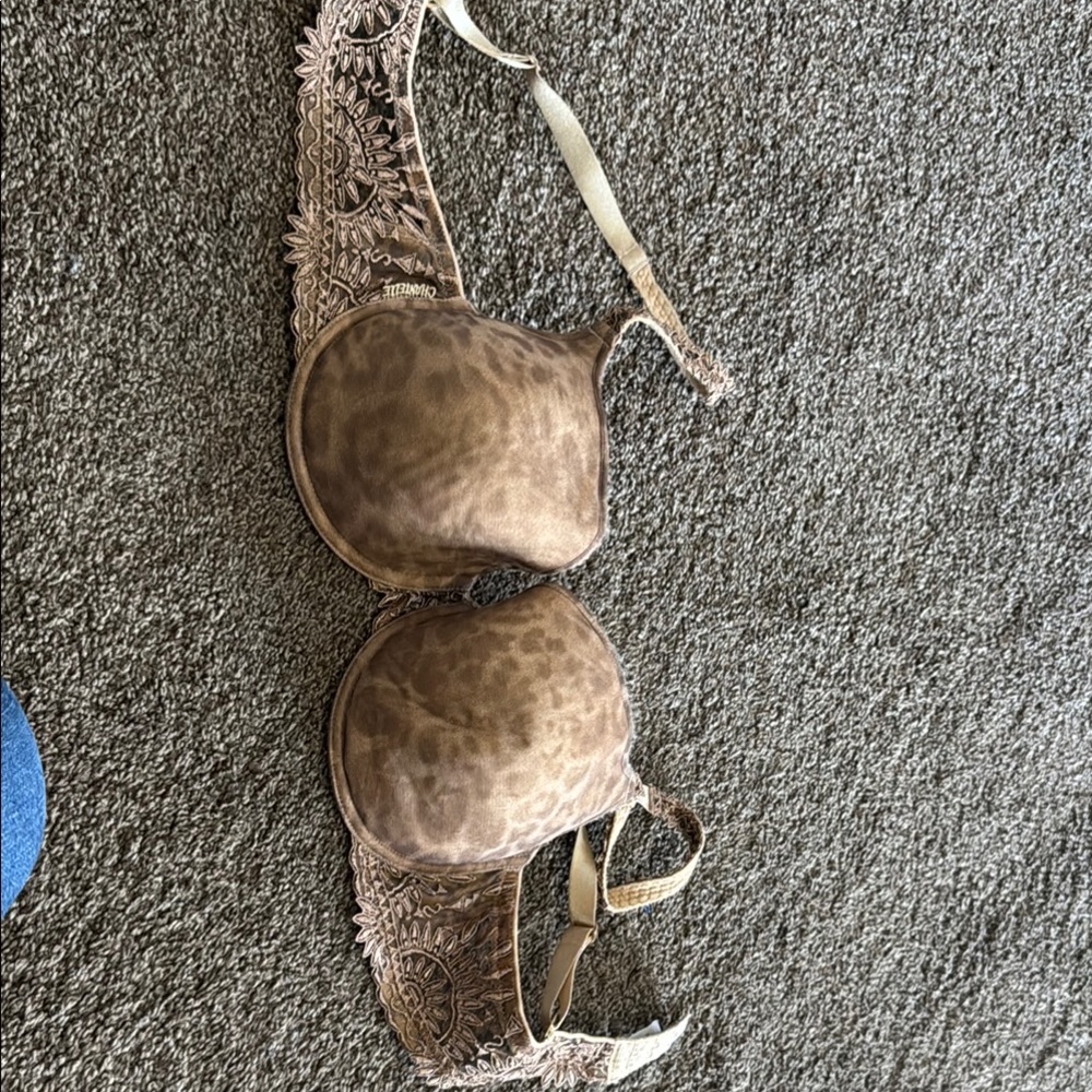 Chantelle Brown Intimate Bra Plush Comfort